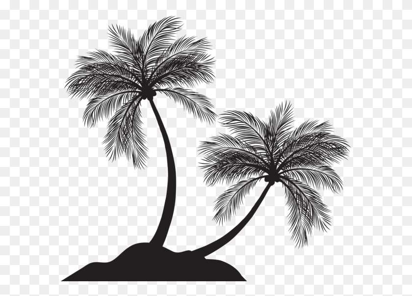 594x543 Palm Trees Silhouette, Plant, Leaf, Flower HD PNG Download