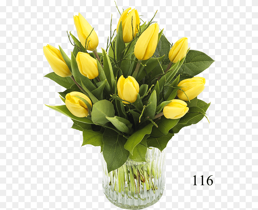 565x686 Palma De Mallorca, Flower, Flower Arrangement, Flower Bouquet, Plant Clipart PNG