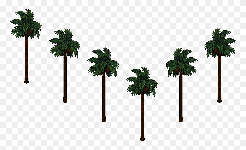775x455 Palmeras Borassus Flabellifer, Palm Tree, Tree, Plant HD PNG Download