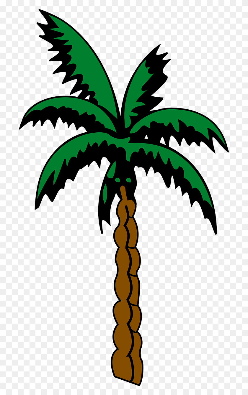 713x1280 Palmplanttreepalm Treetropicalfree Vector Graphicsfree Vector Palm Tree Silhouette Svg, Plant, Tree, Leaf HD PNG Download