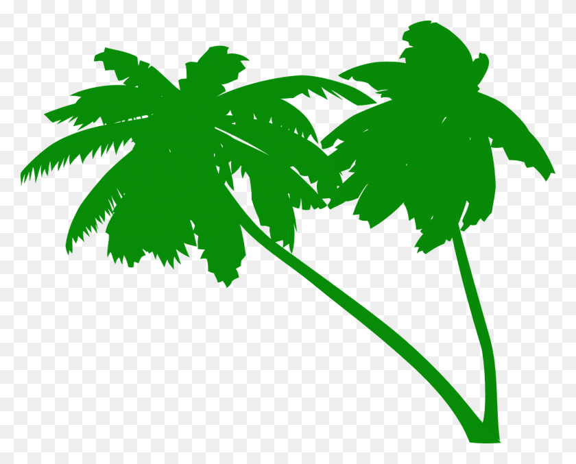 1280x1014 Palms Coconut Tree Coconut Palms Green Palm Tree Vector, Leaf, Plant, Maple Leaf HD PNG Download
