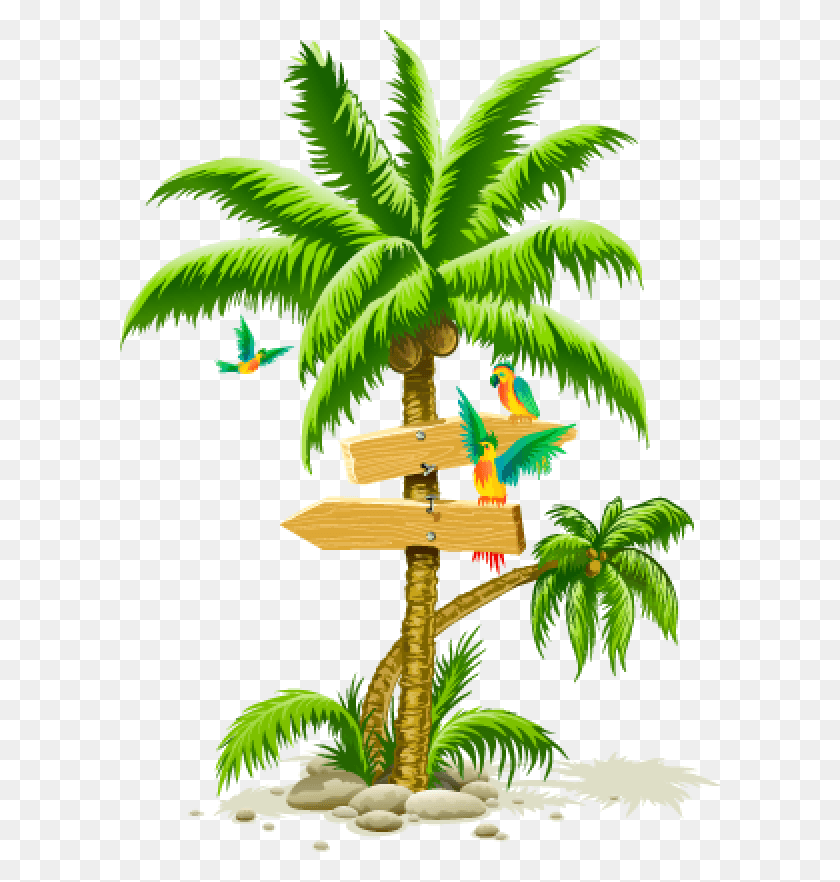 600x822 Palmtree Free Coconut Tree In Beach, Tree, Plant, Palm Tree HD PNG Download