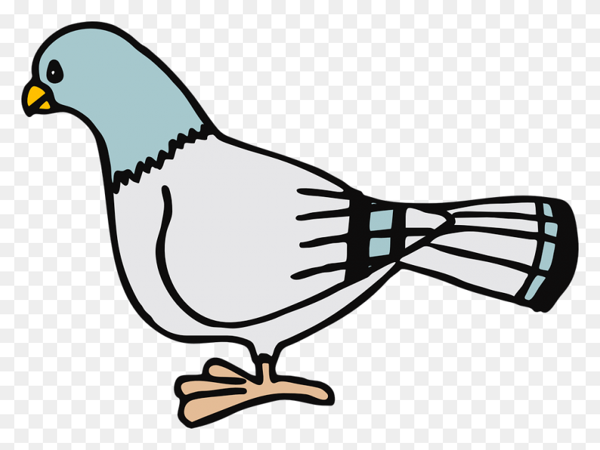 960x702 Paloma Clipart Pigeon Clip Art, Sunglasses, Accessories, Accessory HD PNG Download