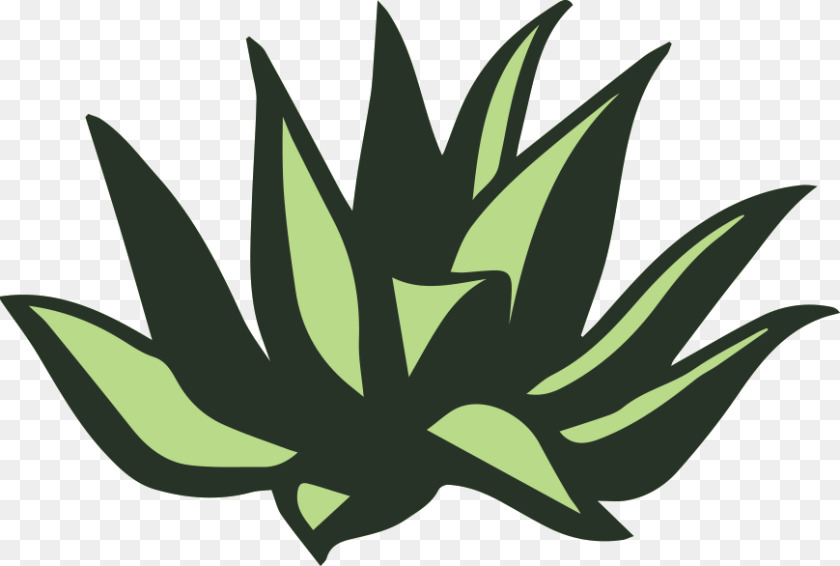 Palomas Blancas, Aloe, Green, Plant, Animal Clipart PNG