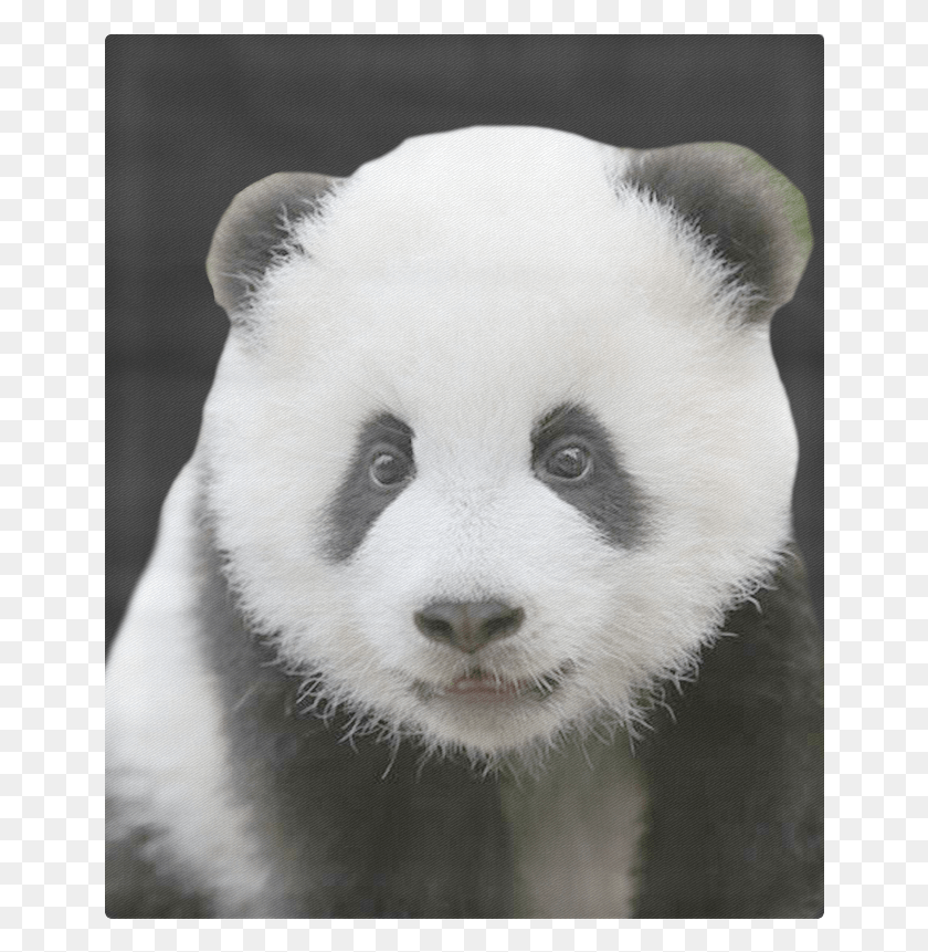 652x801 Panda, Wildlife, Animal, Bear HD PNG Download