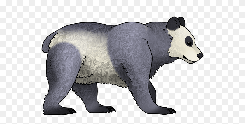 557x365 Панда, Животное, Млекопитающее, Дикая Природа Hd Png Скачать