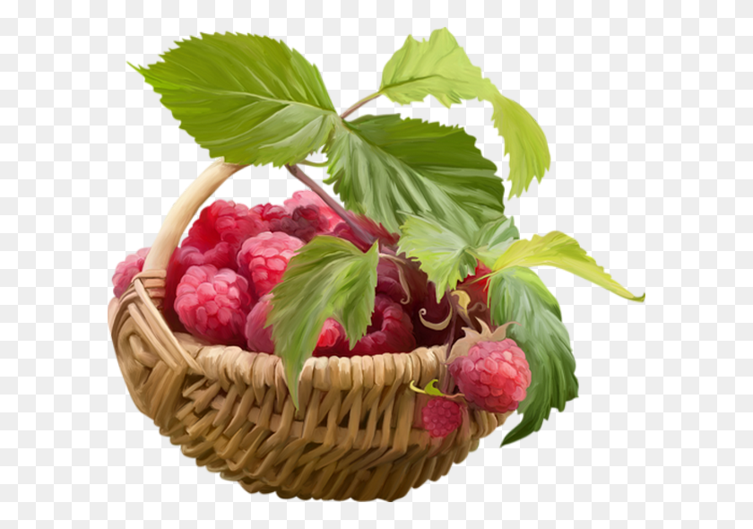 600x530 Panier De Framboises Tube Малина, Растение, Корзина, Фрукты Png Скачать