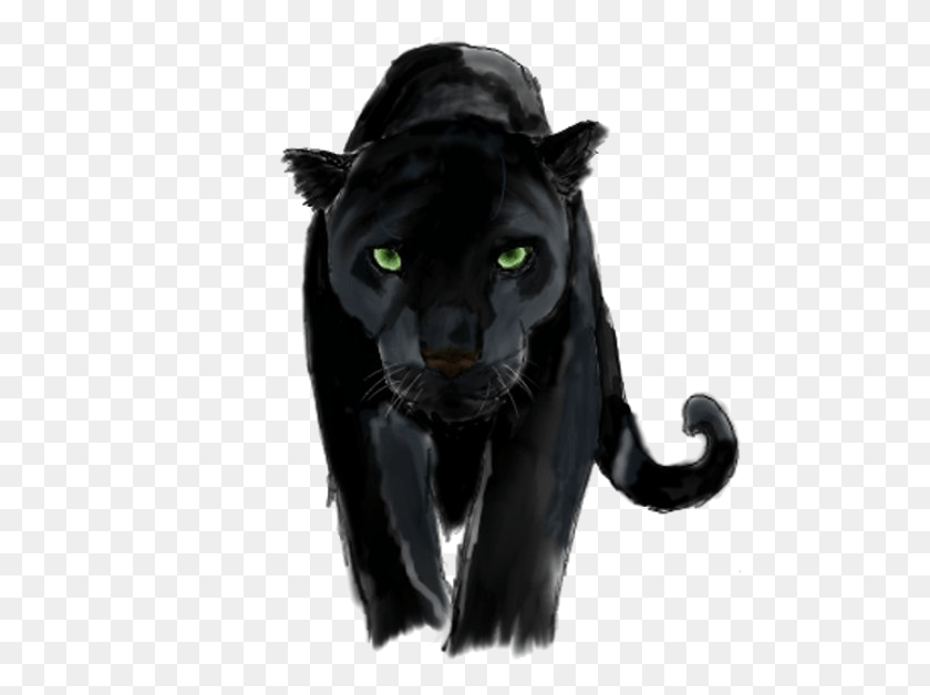 499x568 Panther Background Image Panther With Transparent Background, Wildlife, Mammal, Animal HD PNG Download