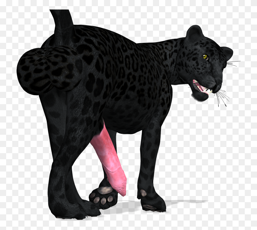 735x691 Panther Cat Computer Icons Black Black Panther Black Panther Cat, Wildlife, Mammal, Animal HD PNG Download
