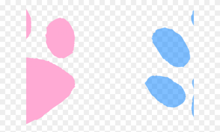641x445 Panther Paw Cliparts Illustration, Flower, Plant, Blossom HD PNG Download