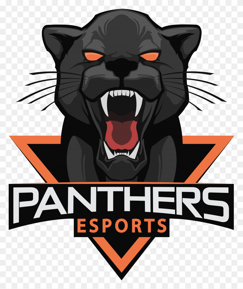 4859x5864 Descargar Png Panthers Esports Animal Black Panther Logo, Poster, Publicidad, Mamífero Hd Png