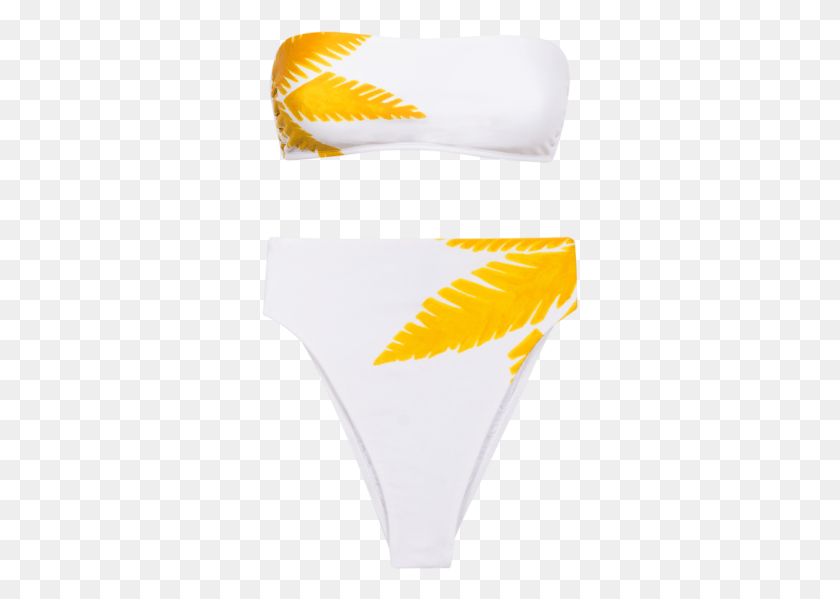 317x539 Bragas, Ropa, Ropa, Ropa Interior Hd Png