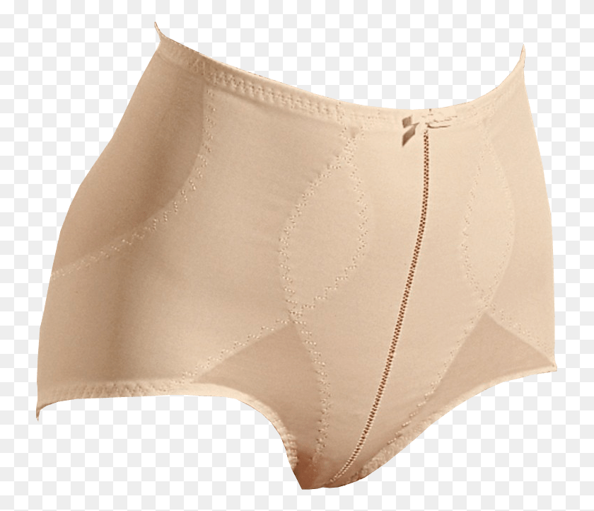 737x662 Panty Girdle Girdle, Clothing, Apparel, Diaper HD PNG Download