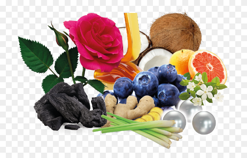 719x478 Papel De Parede Rosa, Planta, Fruta, Alimentos Hd Png