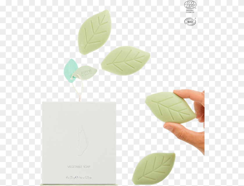 Paper, Leaf, Plant, Herbal, Herbs Sticker PNG