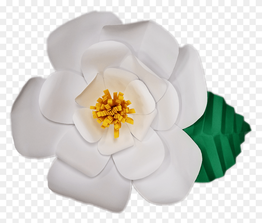 1024x859 Бумажный Цветок Paperflower Blossom Магнолия Белый Искусственный Цветок, Пыльца, Растение, Георгин Hd Png Скачать