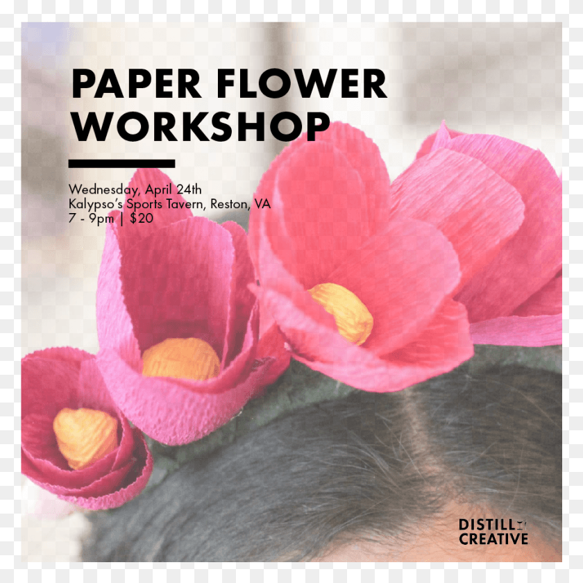 901x901 Paper Flower Workshop Distill Creative, Растение, Цветок, Лепесток Hd Png Скачать