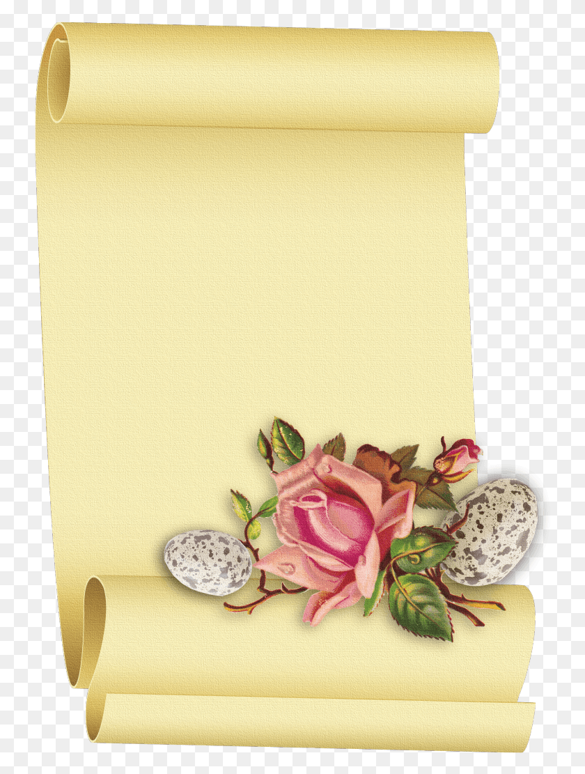 741x1051 Paper Parchment Papyrus Petal Flower Image Paper Parchment Scroll Floral, Home Decor, Rug, Plant HD PNG Download