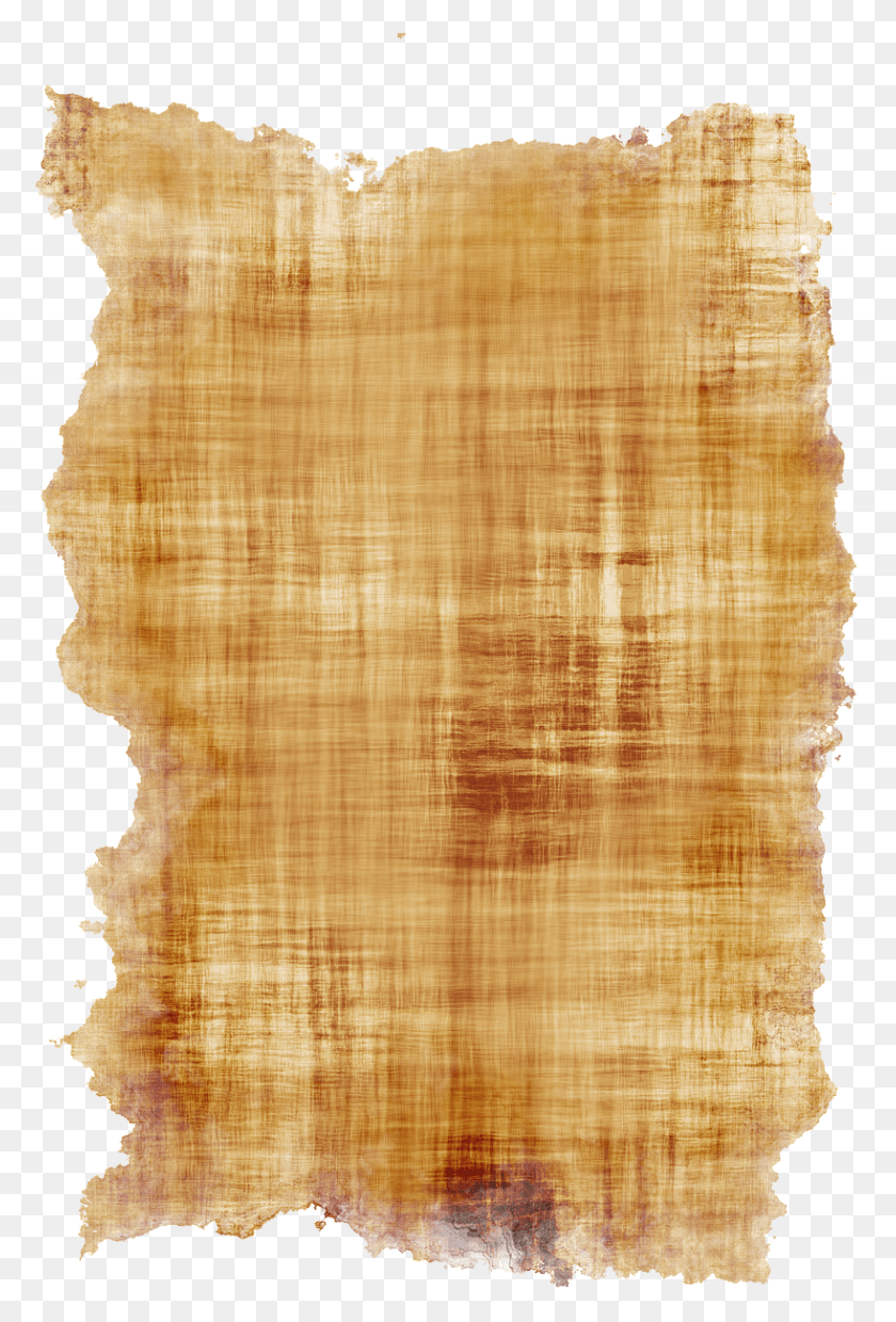 818x1238 Paper Pattern Structure Wood, Rug, Texture, Poster HD PNG Download