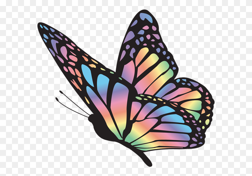 593x527 Papilio Machaon, Ornamento, Patrón, Naturaleza Hd Png