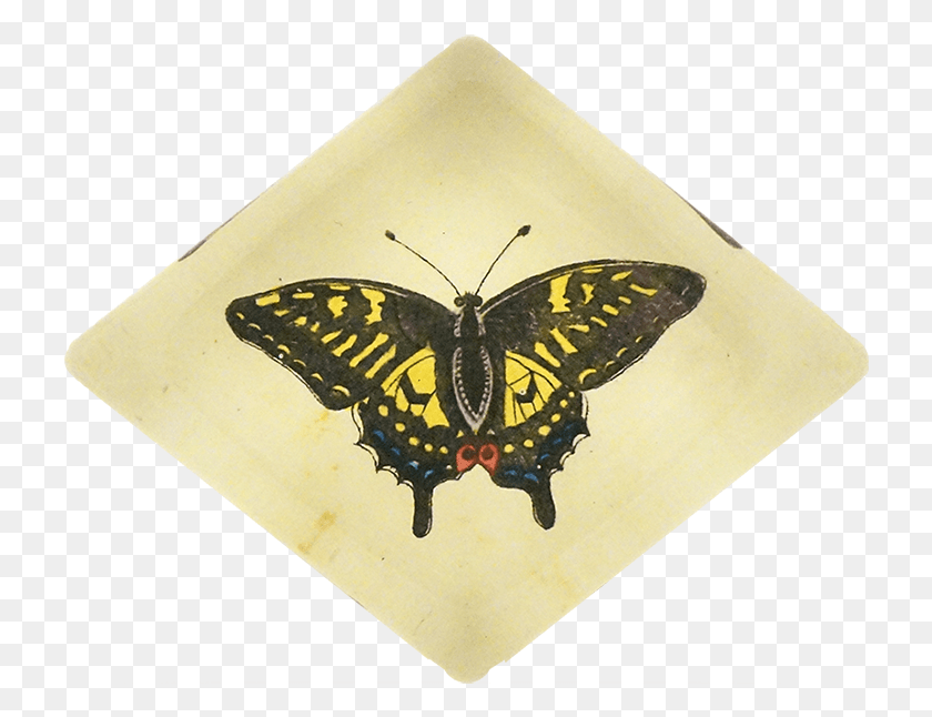 726x586 Papilio Machaon, Mariposa, Insecto, Invertebrado Hd Png