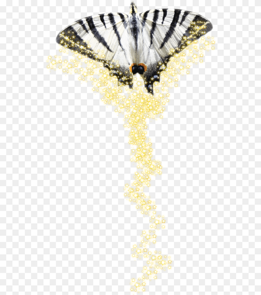 551x951 Papilio Machaon, Animal, Insect, Invertebrate, Butterfly Transparent PNG