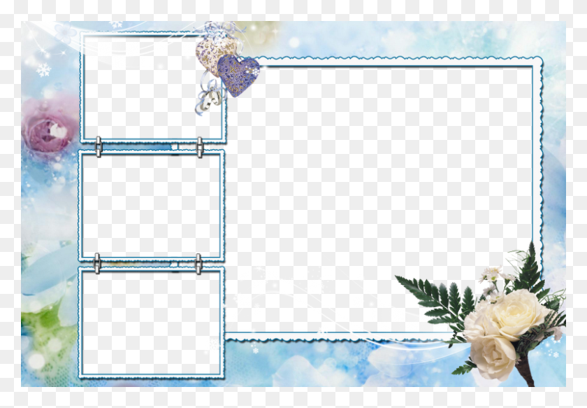 800x537 Para Ver A Imagem Na Original Clicar Em Bouquet, Plant, Flower, Blossom HD PNG Download