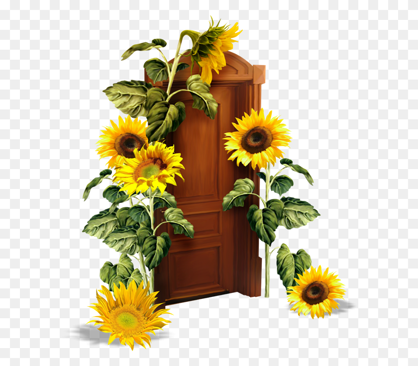 600x676 Para Verlas En Real Dar Click Sobre Cada Imagen Sunflower, Plant, Flower, Blossom HD PNG Download