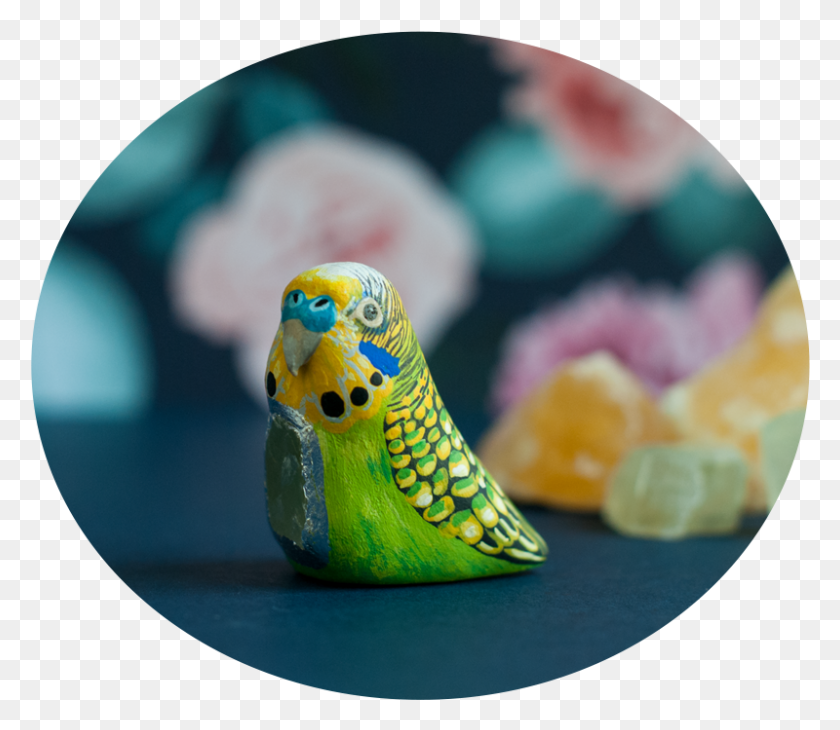 800x688 Parakeet Talisman, Bird, Animal, Sphere HD PNG Download