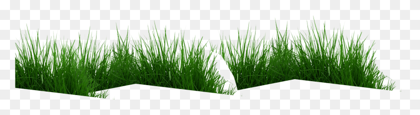 1787x392 Parallax Grass Sweet Grass, Растение, Газон, Растительность Hd Png Скачать