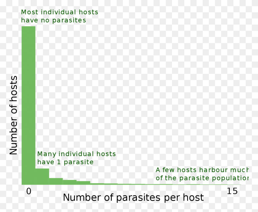 1182x954 Parasite Aggregated Distribution, Text, Number, Symbol HD PNG Download