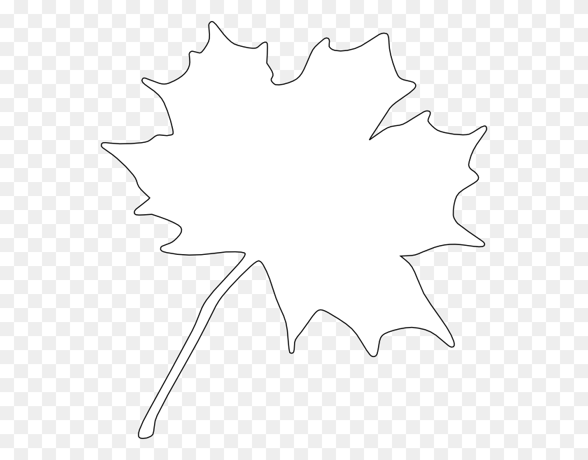 552x597 Parcc, Hoja, Planta, Árbol Hd Png