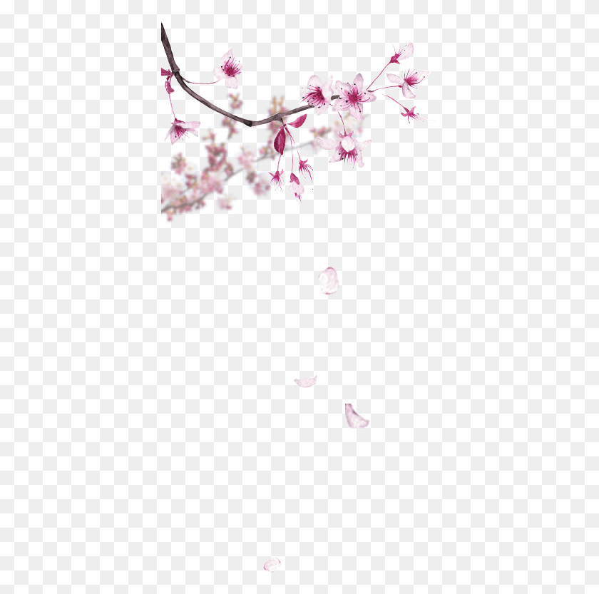 389x773 Parfum Pas Cher Coffret Parfum Parfumerie En Ligne Cherry Blossom Watercolor, Plant, Flower, Blossom HD PNG Download