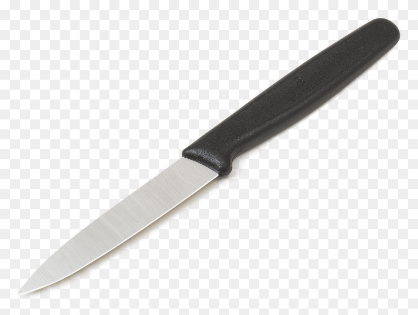 2869x2111 Paring Knife, Blade, Weapon, Weaponry HD PNG Download