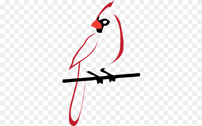 Parrot, Animal, Bird, Cardinal, Beak Transparent PNG