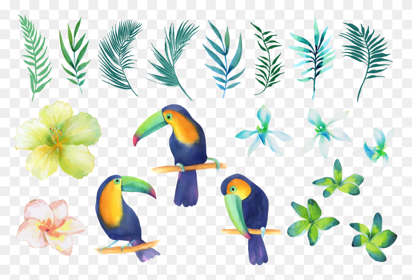 4689x3075 Parrot Beak Watercolor Painting Clip Art Watercolor Painting, Bird, Animal, Toucan HD PNG Download