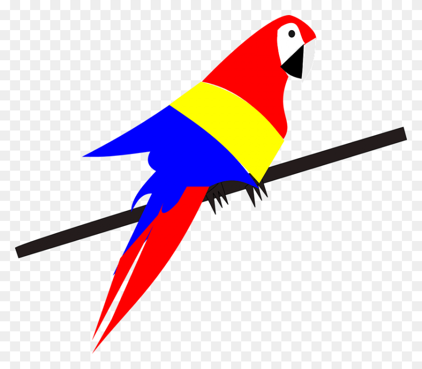832x720 Попугай Птица Экзотический Тропический Папа39S Рисунок Попугая, Животное, Символ Hd Png Скачать