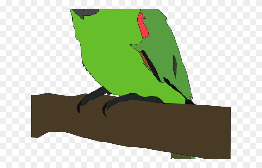 640x480 Parrot Clip Art, Animal, Bird, Parakeet HD PNG Download
