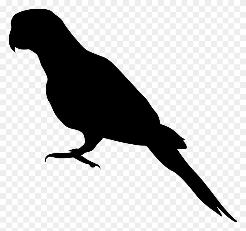 7886x7377 Parrot Silhouette Clip Art Image, Gray, World Of Warcraft HD PNG Download