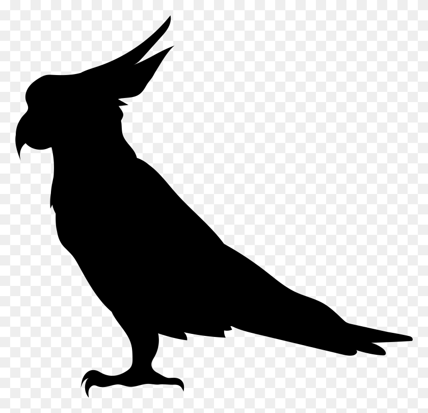 7761x7459 Parrot Silhouette Transparent Clip Art Image, Nature, Outdoors, Outer Space HD PNG Download