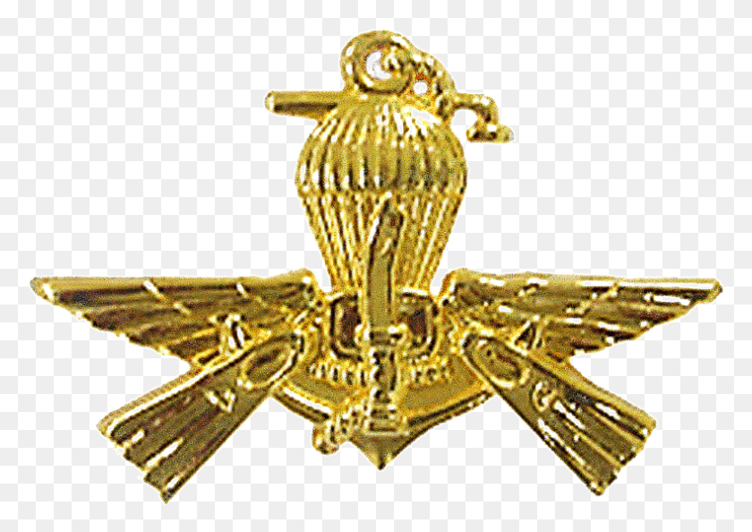 789x541 Paskal Pin Badge Logo Paskal, Symbol, Trademark, Gold HD PNG Download