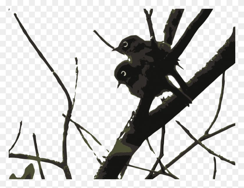 1000x750 Passerine Bird White Eyes Sub Saharan Africa Insect, Plant, Tree, Animal HD PNG Download