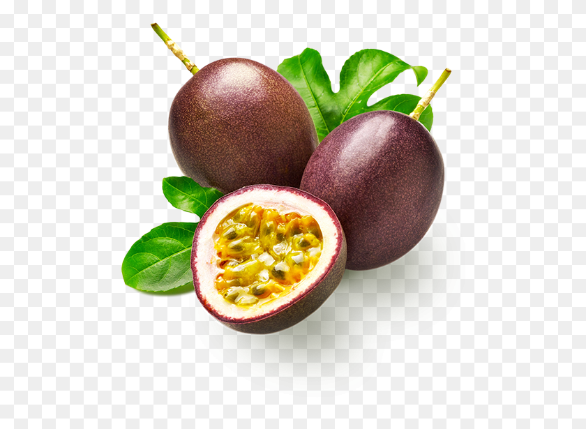 495x555 Passionfruit Juice Supplier Of Fruit Juices Concentrates Passion Fruit Vector, Plant, Food, Mango HD PNG Download