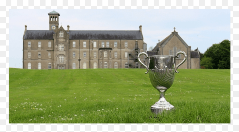 901x467 Past Pupils Selected For Ireland U20s World Cup Grass, Plant, Trophy, Lawn HD PNG Download