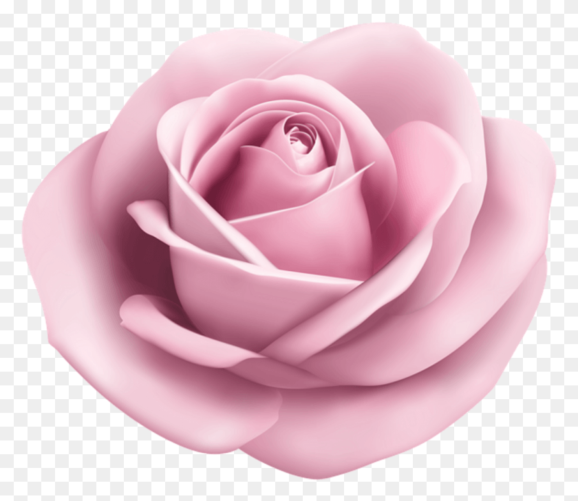 1013x868 Пастельно-Розовый Lightpink Babypink Pinkrose Rose Roses Cute Girl Skin Pixel Gun 3D, Цветок, Растение, Цветение Hd Png Скачать