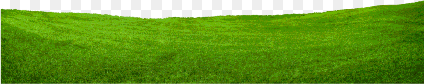 Pasto Grass, Lawn, Plant, Green, Vegetation Sticker PNG