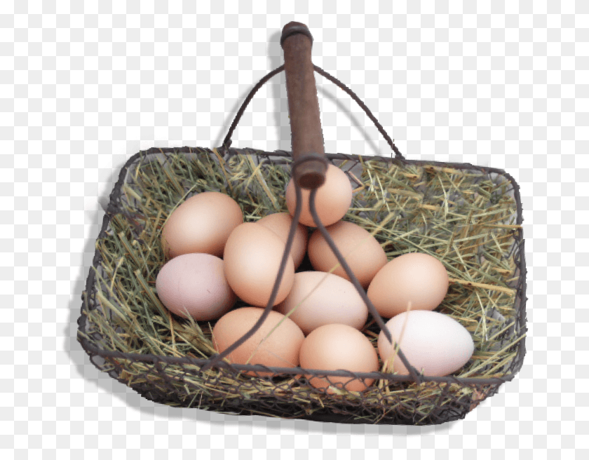 668x596 Органические Большие Коричневые Яйца, Выращенные На Пастбищах, Яйца, Еда, Торт Ко Дню Рождения, Торт Png Скачать