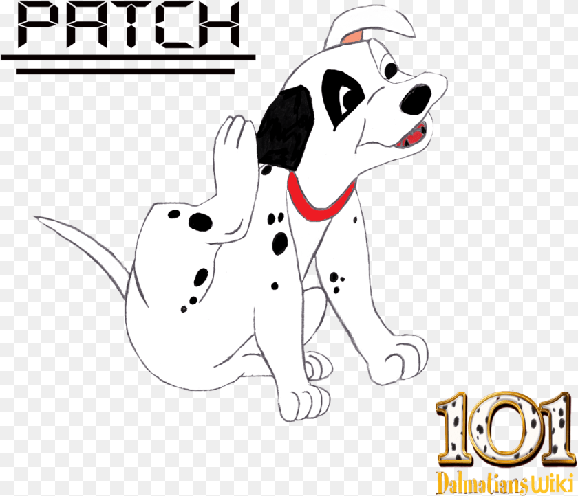 Patch 101 Dalmatians, Animal, Bear, Mammal, Wildlife PNG