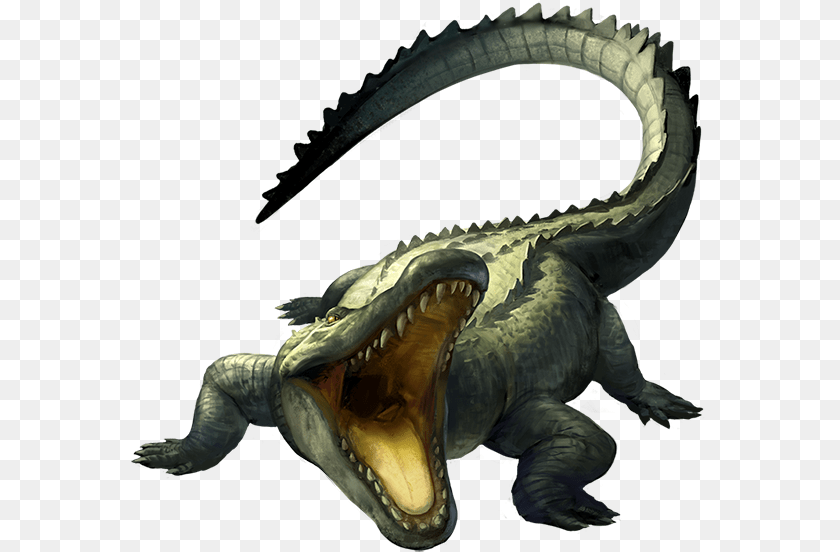 580x552 Pathfinder Crocodile, Animal, Reptile, Dinosaur, Person PNG