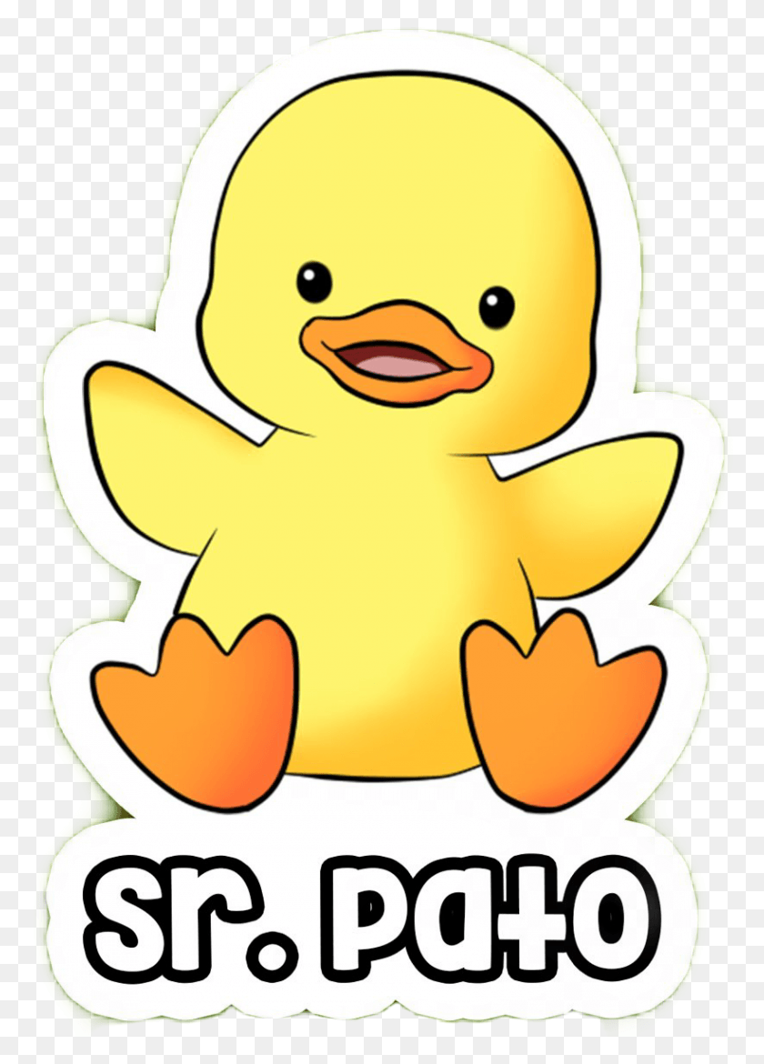 819x1166 Pato Sticker Duck, Toy, Outdoors, Nature Descargar Hd Png